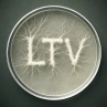 Lichen The Vibe mycology podcast mushroom identification wild foraging edible mushrooms poisonous mushrooms fungal taxonomy lichen symbiosis mycelium cultivation psychedelic fungi medicinal mushrooms decomposer ecology spore science